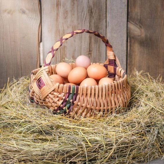 Eggs for Breakfast: The Natural Goodness from Amish Farms